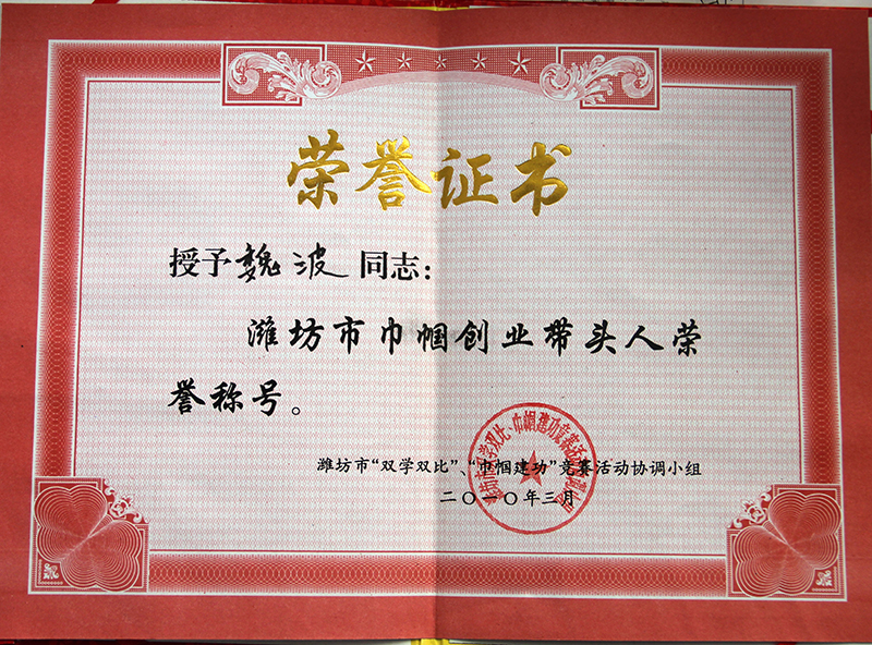 巾帼创业带头人